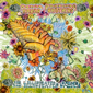 Radar Brothers - The Illustrated Garden CD Review and Free Download